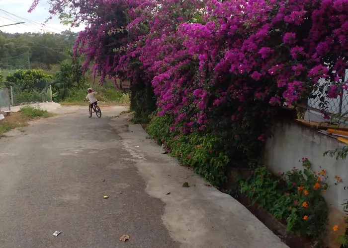 Ly\'S Homestay